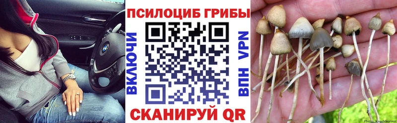 Галлюциногенные грибы ЛСД Сорочинск